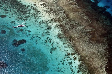 Soggiorno diving in Micronesia